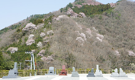 交通の利便性 バリアフリー 陽当たり 宗教・宗派